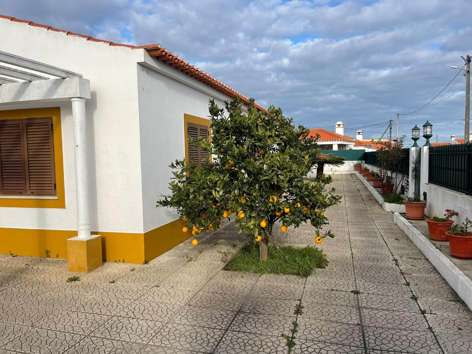 Luz E Sal By Stay In Alentejo Cavaleiro Exterior foto